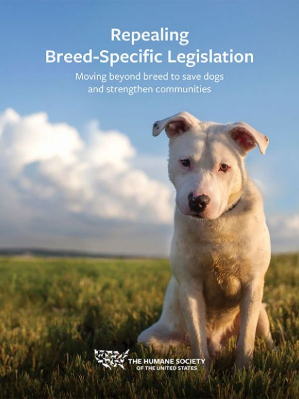 Repealing Breed-Specific Legislation
